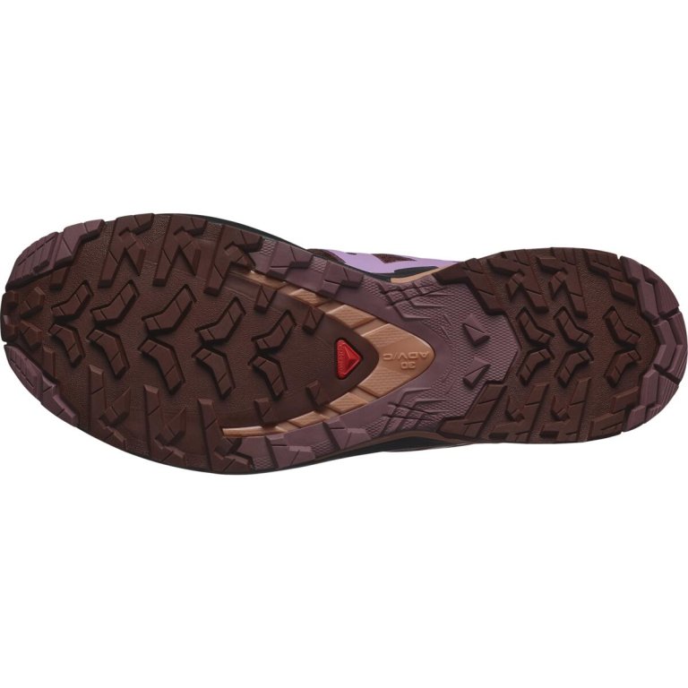 Кросівки Salomon XA Pro 3D V9 W - фіолетовий
