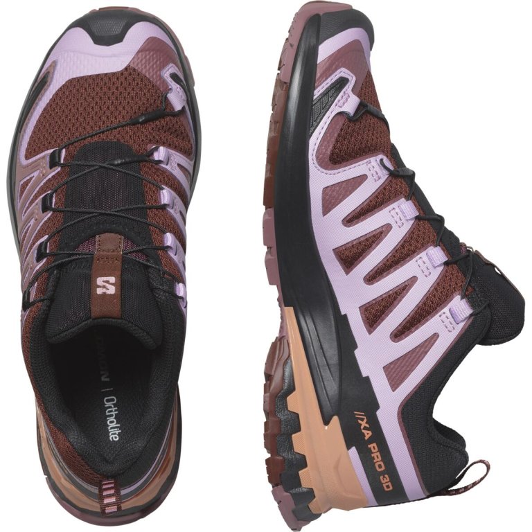 Кросівки Salomon XA Pro 3D V9 W - фіолетовий
