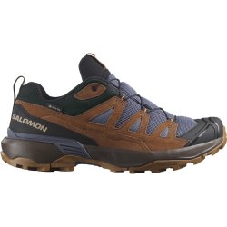 Взуття Salomon X Ultra 360 Ltr GTX M - коричневий/синій
