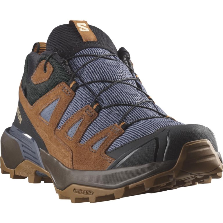 Взуття Salomon X Ultra 360 Ltr GTX M - коричневий/синій