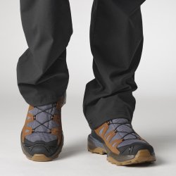 Взуття Salomon X Ultra 360 Ltr GTX M - коричневий/синій