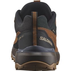 Взуття Salomon X Ultra 360 Ltr GTX M - коричневий/синій