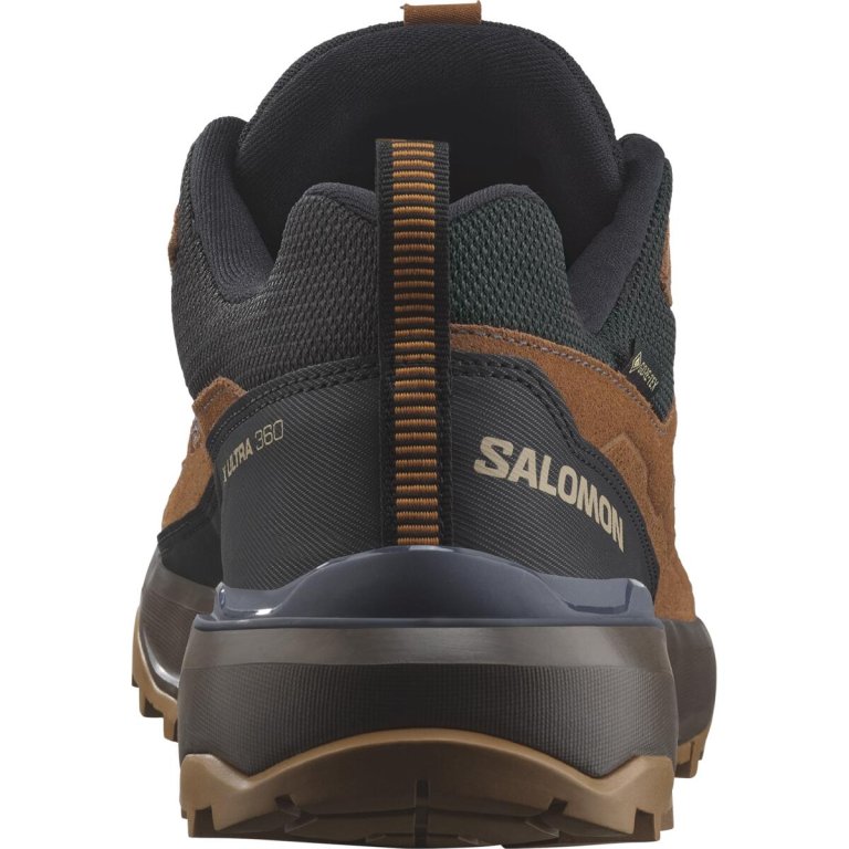 Взуття Salomon X Ultra 360 Ltr GTX M - коричневий/синій