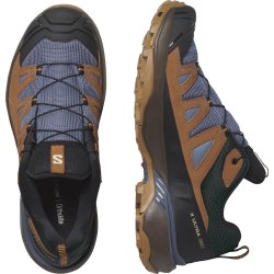 Взуття Salomon X Ultra 360 Ltr GTX M - коричневий/синій