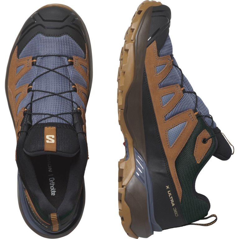 Взуття Salomon X Ultra 360 Ltr GTX M - коричневий/синій