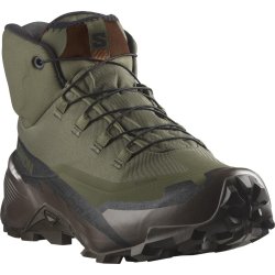 Взуття Salomon Cross Hike Tracker GTX - зелений
