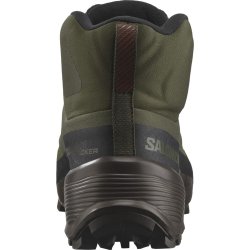 Взуття Salomon Cross Hike Tracker GTX - зелений