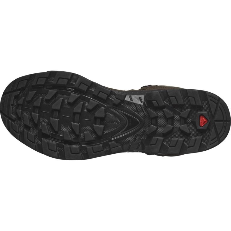 Взуття Salomon Quest Tracker GTX - зелений