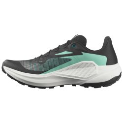 Кросівки Salomon Genesis M - чорний/зелений/червоний