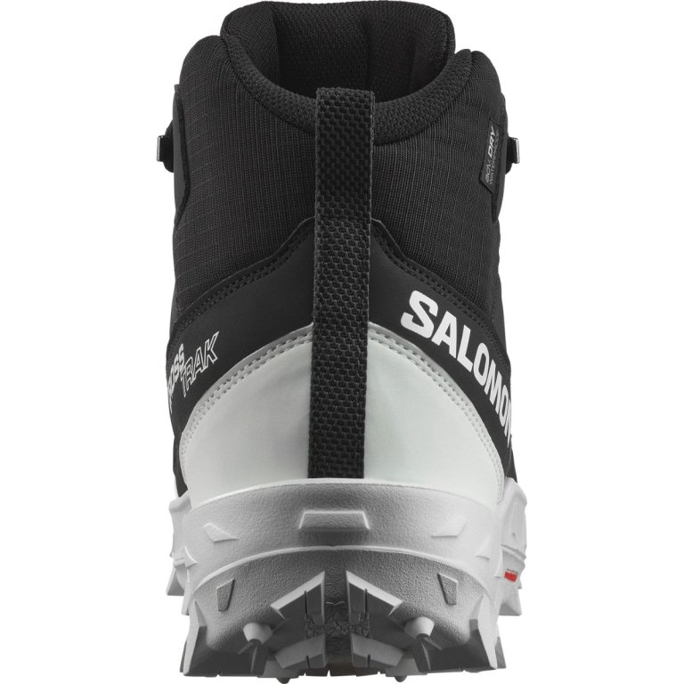 Взуття Salomon Crosstrak WP M - чорний/білий