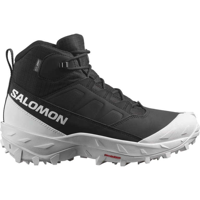 Взуття Salomon Crosstrak WP M - чорний/білий