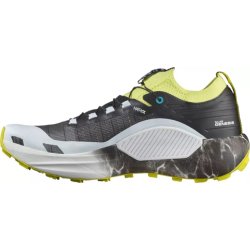 Взуття Salomon S/LAB Genesis Ltd Courtney - зелений/чорний