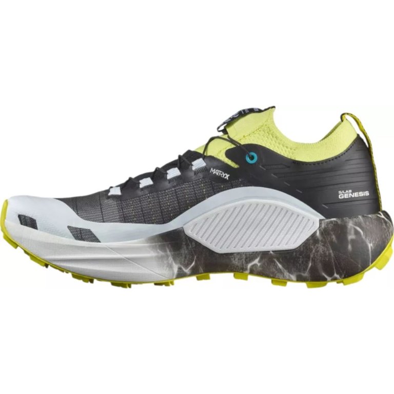 Взуття Salomon S/LAB Genesis Ltd Courtney - зелений/чорний