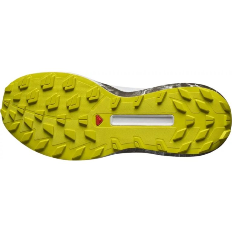 Взуття Salomon S/LAB Genesis Ltd Courtney - зелений/чорний