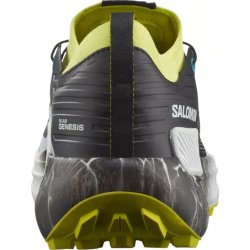 Взуття Salomon S/LAB Genesis Ltd Courtney - зелений/чорний