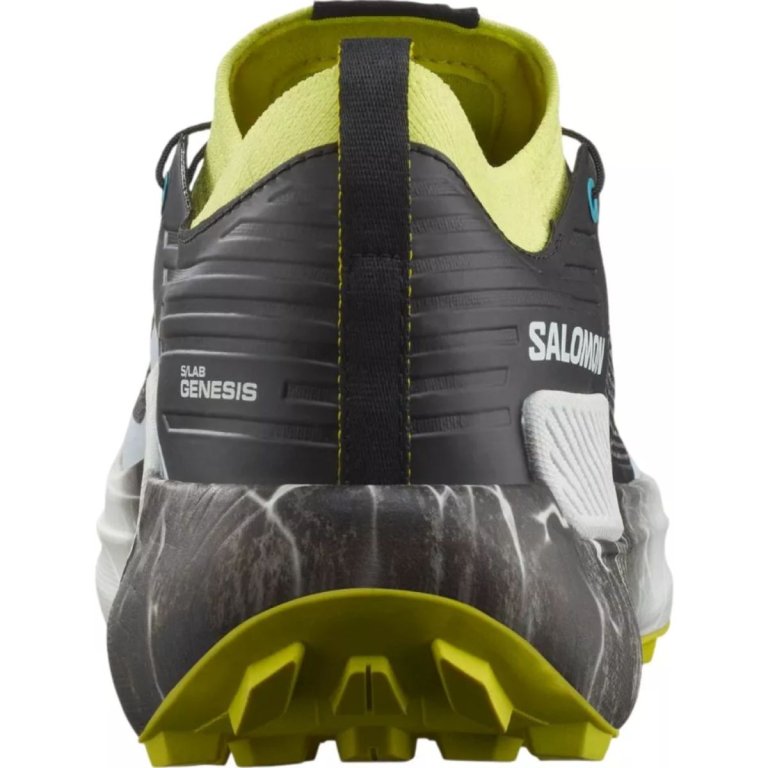 Взуття Salomon S/LAB Genesis Ltd Courtney - зелений/чорний