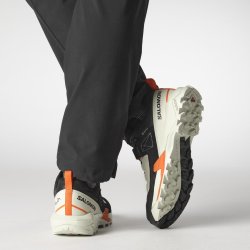 Взуття Salomon X Ultra Alpine GTX W - білий/чорний/помаранчевий