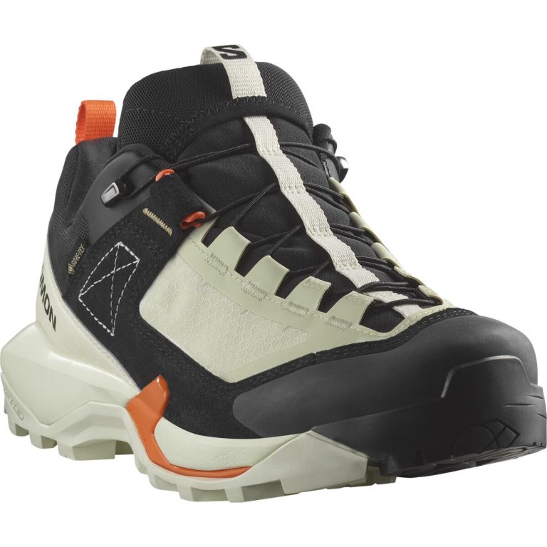 Взуття Salomon X Ultra Alpine GTX W - білий/чорний/помаранчевий