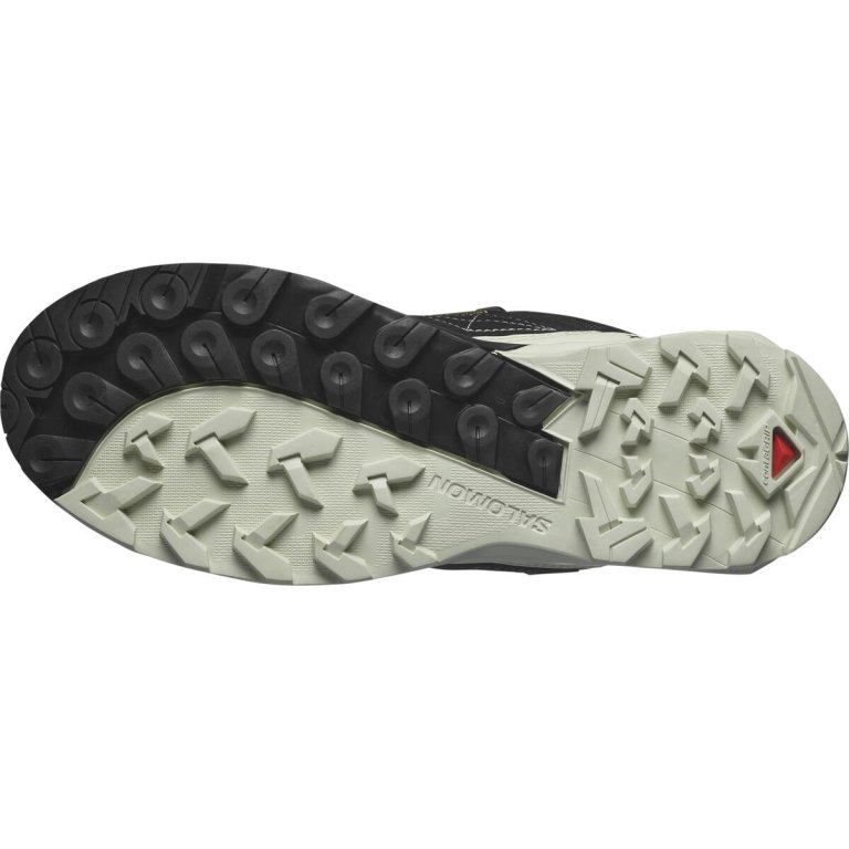 Взуття Salomon X Ultra Alpine GTX W - білий/чорний/помаранчевий