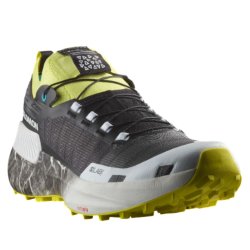 Взуття Salomon S/LAB Genesis Ltd Courtney - зелений/чорний