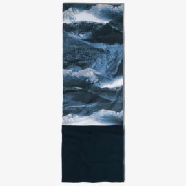 polar arin blue1
