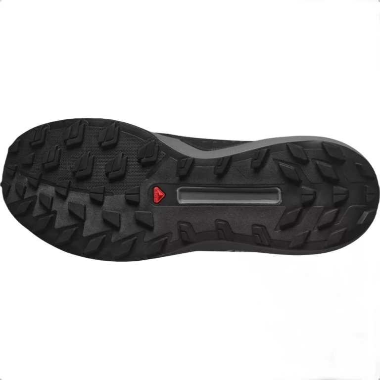 Взуття Salomon S/LAB Genesis Spine - чорний