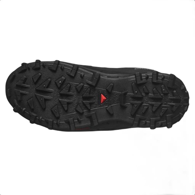 Взуття Salomon Crosstrak WP M - чорний