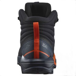 Взуття Salomon X Ultra Alpine Mid GTX M - сині