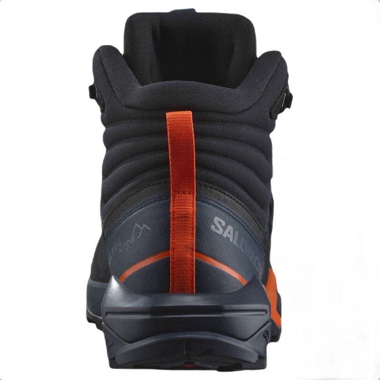 Взуття Salomon X Ultra Alpine Mid GTX M - сині
