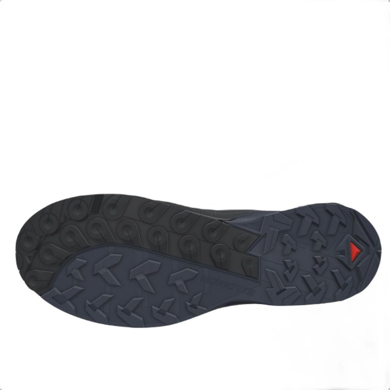 Взуття Salomon X Ultra Alpine Mid GTX M - сині