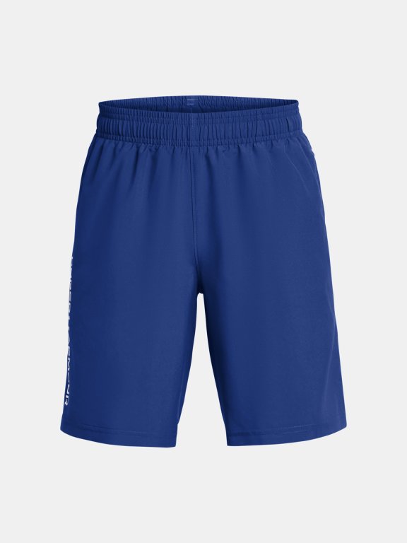 Шорти Under Armour UA Tech Woven Wordmark Short