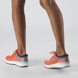 Взуття Salomon Sonic 3 Confidence W - помаранчевий/білий