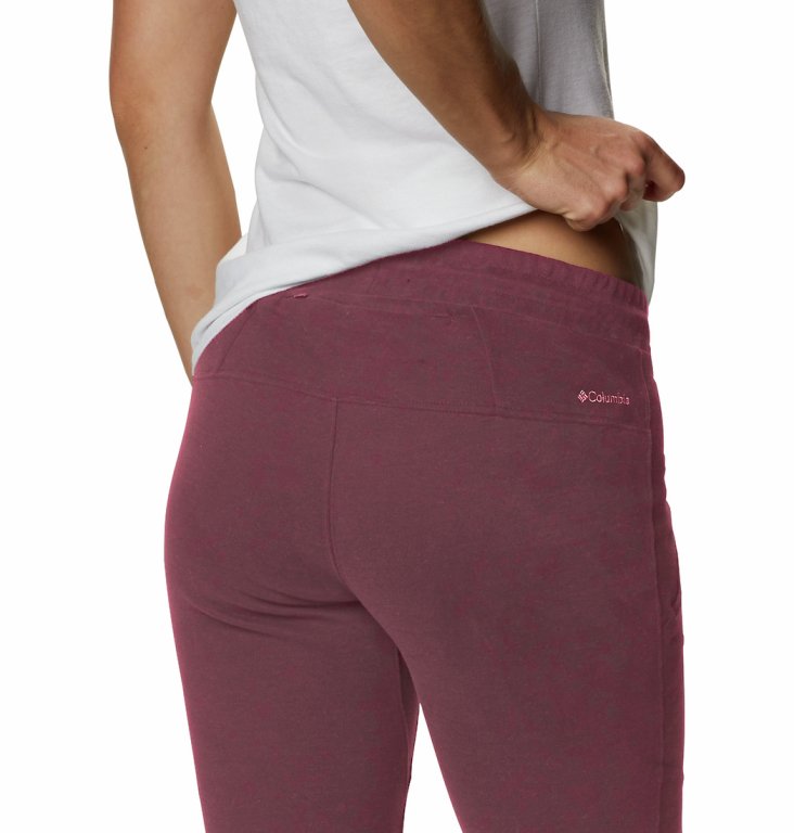 Штани Columbia Totagatic Range™ Pant W - темно-червоні (стандартна довжина)