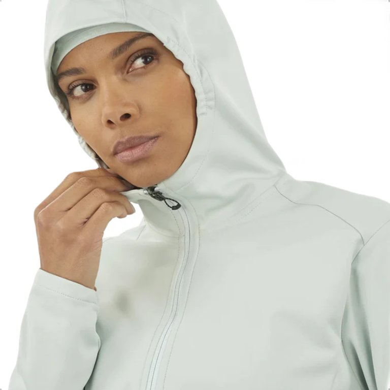 Куртка Salomon GTX® Softshell Jkt W - синій