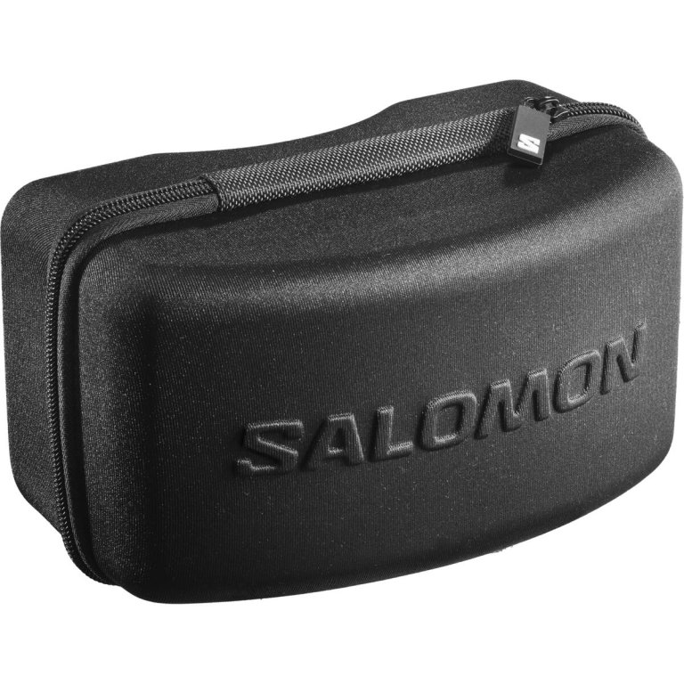 Лижні окуляри Salomon Radium Pro Sigma - зелені