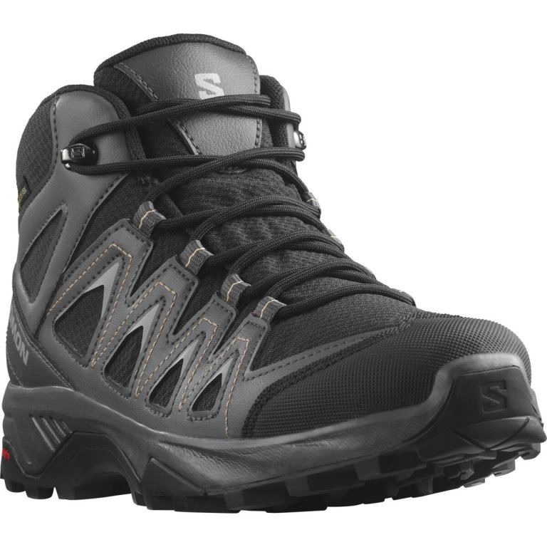 Взуття Salomon X Braze Mid GTX W - сірий / чорний