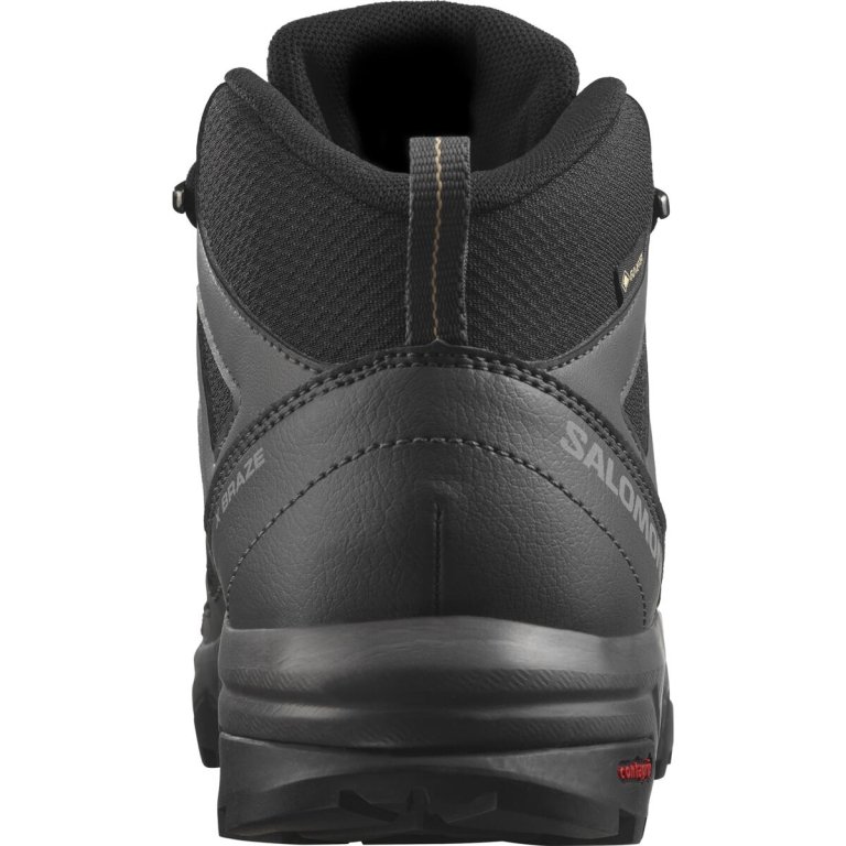 Взуття Salomon X Braze Mid GTX W - сірий / чорний