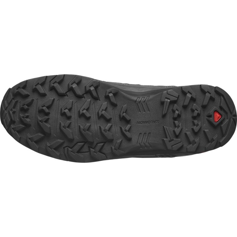 Взуття Salomon X Braze Mid GTX W - сірий / чорний