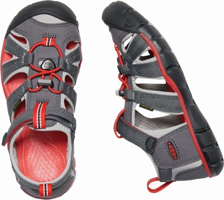 Взуття дитяче Keen Seacamp II CNX C - сіре/червоне