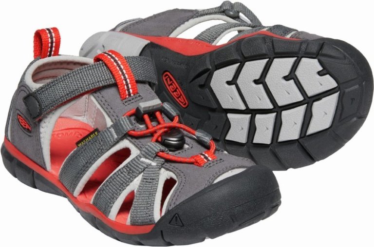 Взуття дитяче Keen Seacamp II CNX C - сіре/червоне