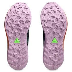 Кросівки Asics Fuji Lite 5 W - синій/рожевий/чорний