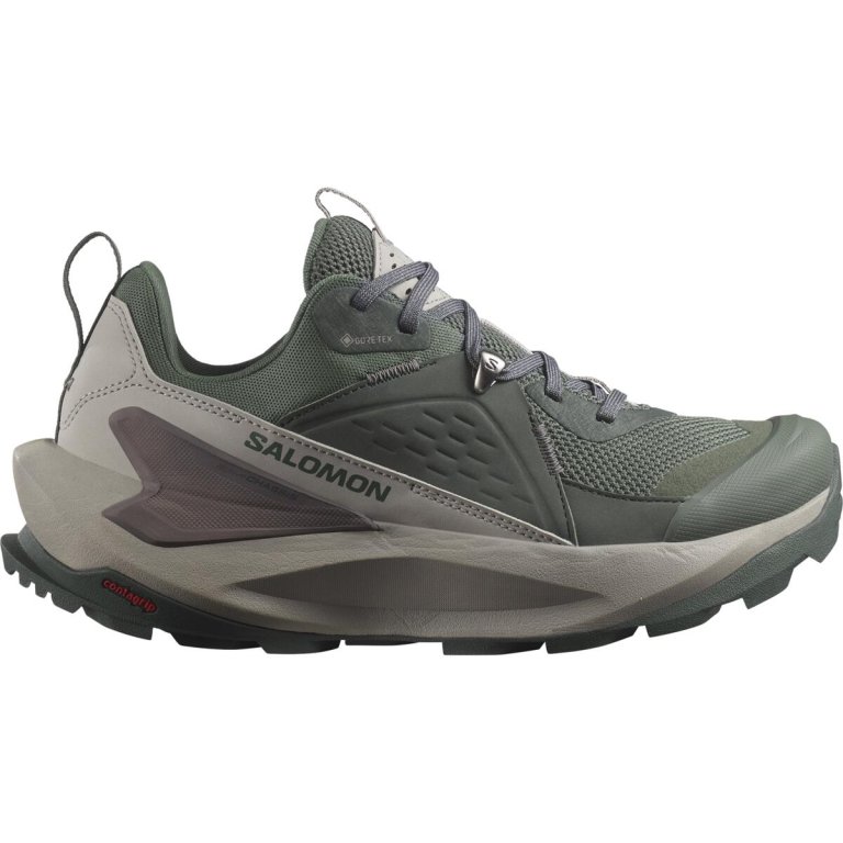 Взуття Salomon Elixir GTX W - зелений