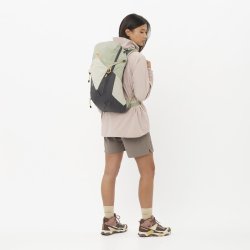 Рюкзак Salomon Aerotrek 18 W - зелений/сірий