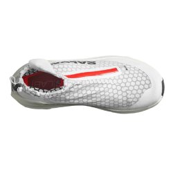 Кросівки Salomon S/Lab Ultra Dust U - біло/сірі