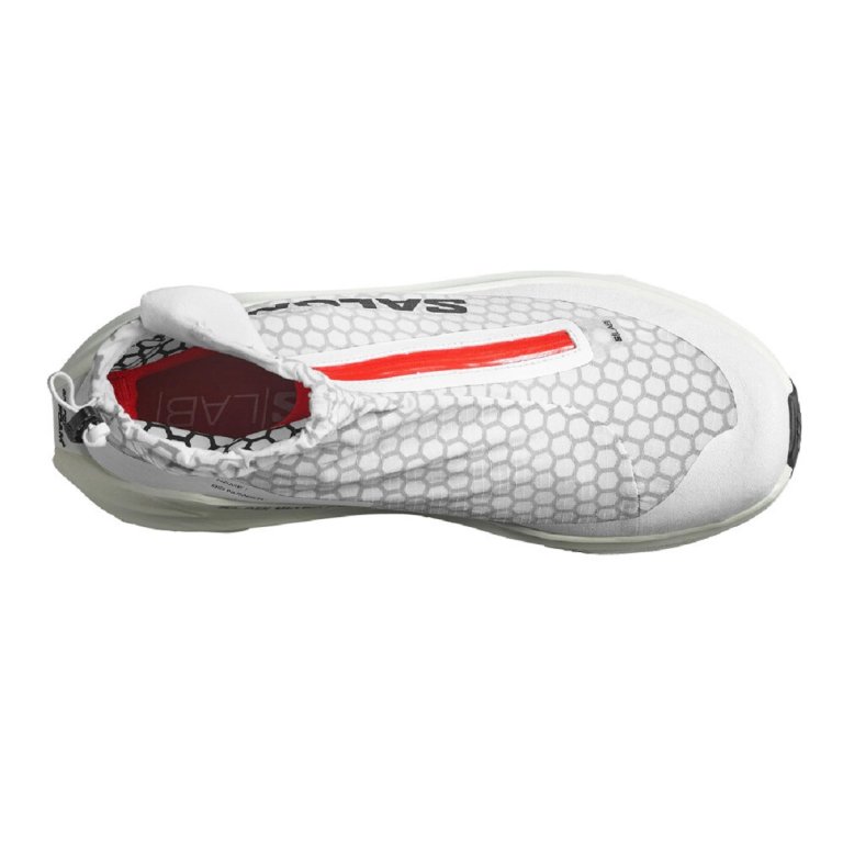 Кросівки Salomon S/Lab Ultra Dust U - біло/сірі