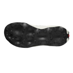 Кросівки Salomon S/Lab Ultra Dust U - біло/сірі