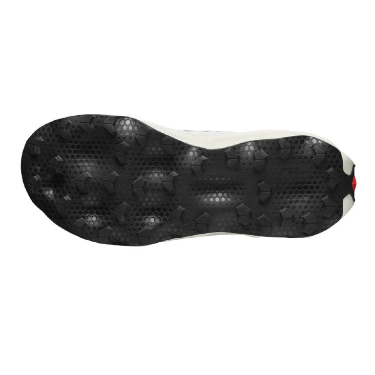 Кросівки Salomon S/Lab Ultra Dust U - біло/сірі
