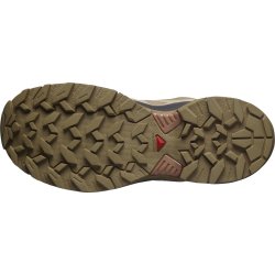 Взуття Salomon X Ultra 360 GTX W - зелений/бежевий