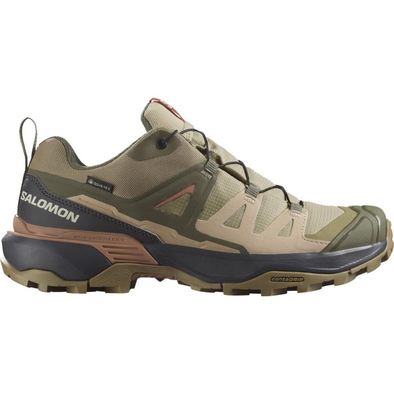 Взуття Salomon X Ultra 360 GTX W - зелений/бежевий