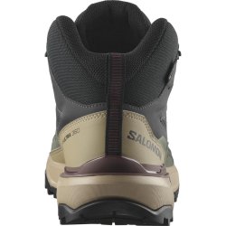 Взуття Salomon X Ultra 360 Mid GTX M - чорний/сірий/бежевий